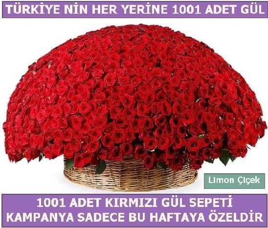 1001 Adet krmz gl Bu haftaya zel  Bitlis nternetten iek siparii 